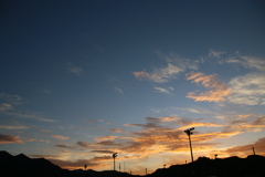 晩夏の朝