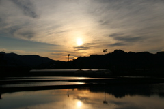田植え前