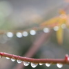 雨上がり