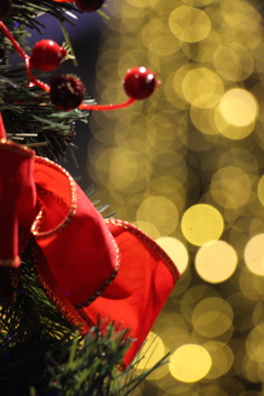 クリスマスツリー