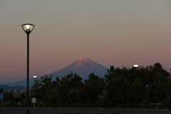 夕日を浴びて