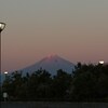夕日を浴びて