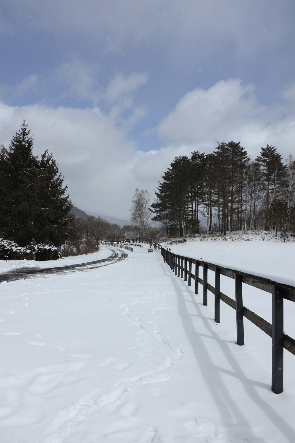 牧場の雪景色