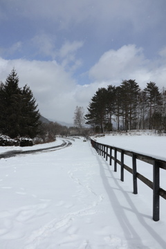 牧場の雪景色