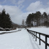 牧場の雪景色