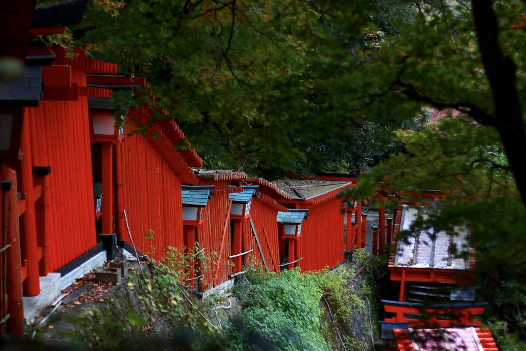 島根県津和野 太皷谷稲成神社 千本鳥居