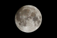 初めて月を撮ってみました