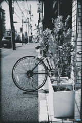 頭かくして・・・