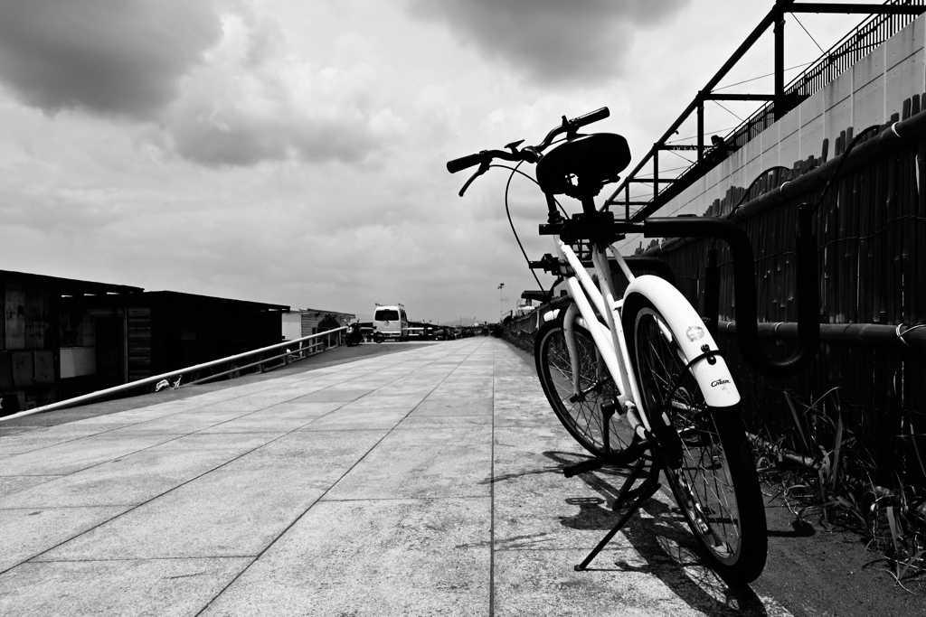 梅雨の晴れ間に４