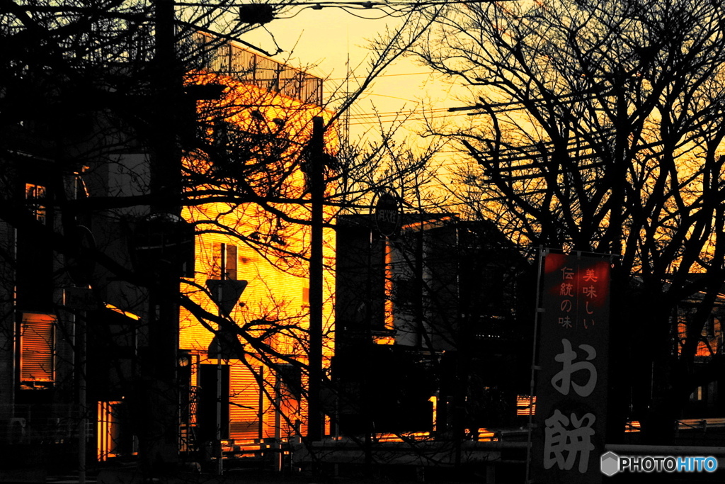 迎春