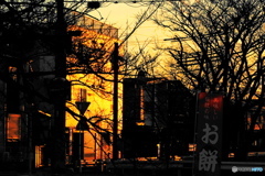 迎春