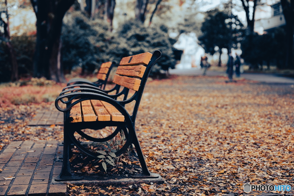 観たことはないけれど