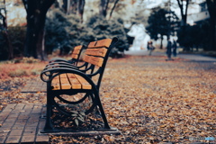 観たことはないけれど