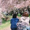 フィルムカメラで
