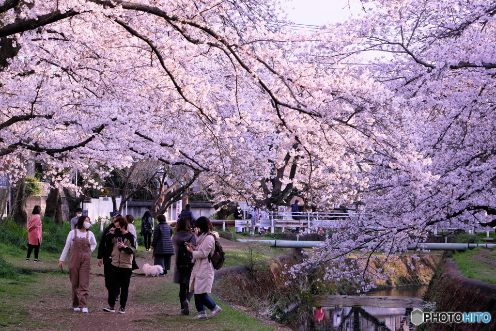 麗らかな風景