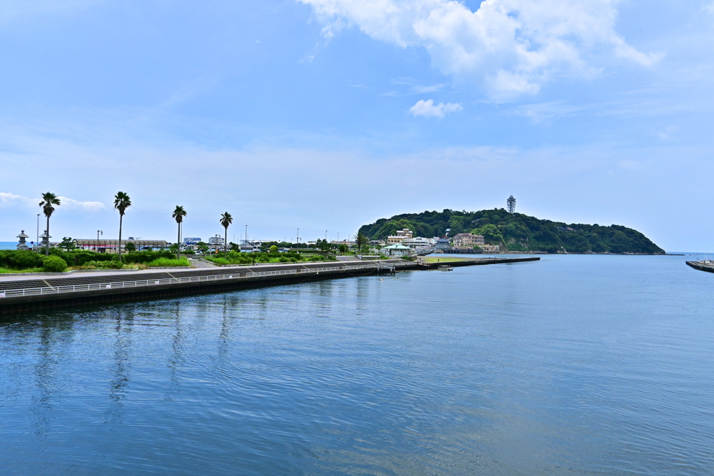 梅雨の晴れ間に３