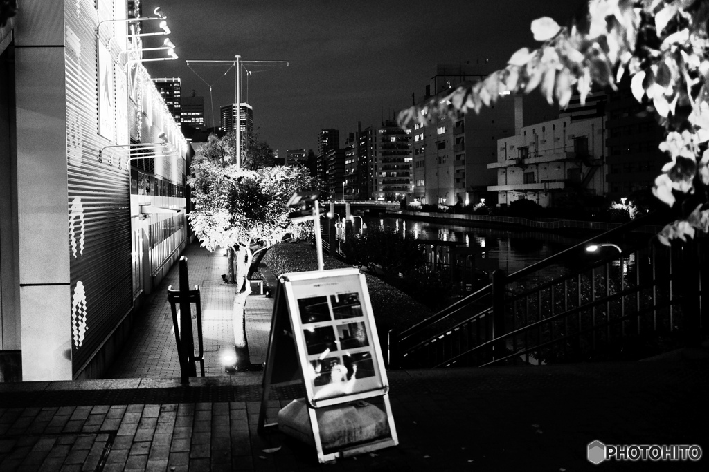 夜のギャラリー・・・