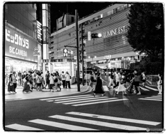 真夏の夜の夢