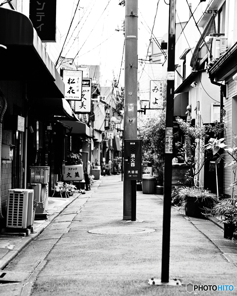 ど真ん中の・・・