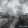 二眼にて２