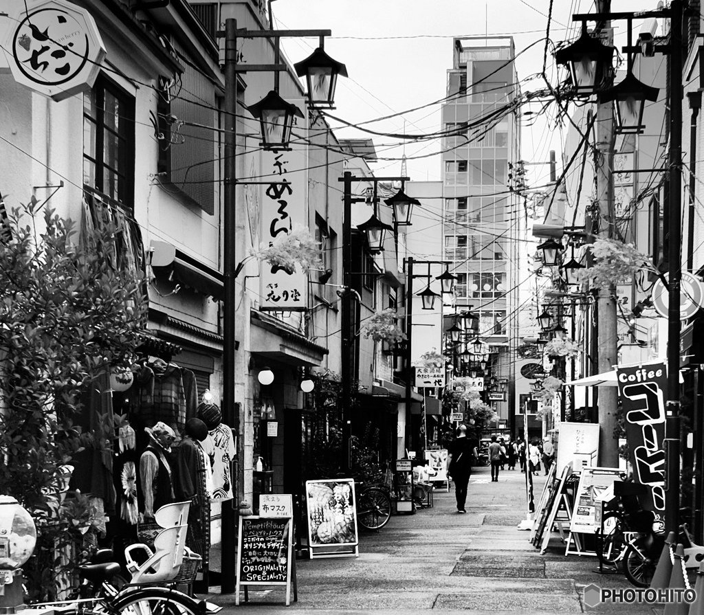 柳小路の風景