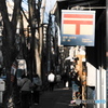 師走の街角から