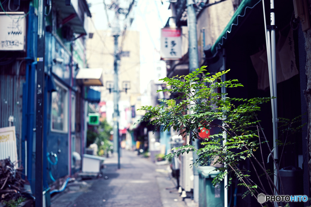 店のママを・・・