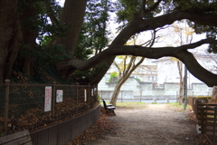 公園のベンチ