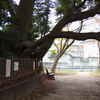 公園のベンチ