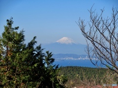 鹿野山からみた富士山