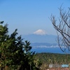 鹿野山からみた富士山