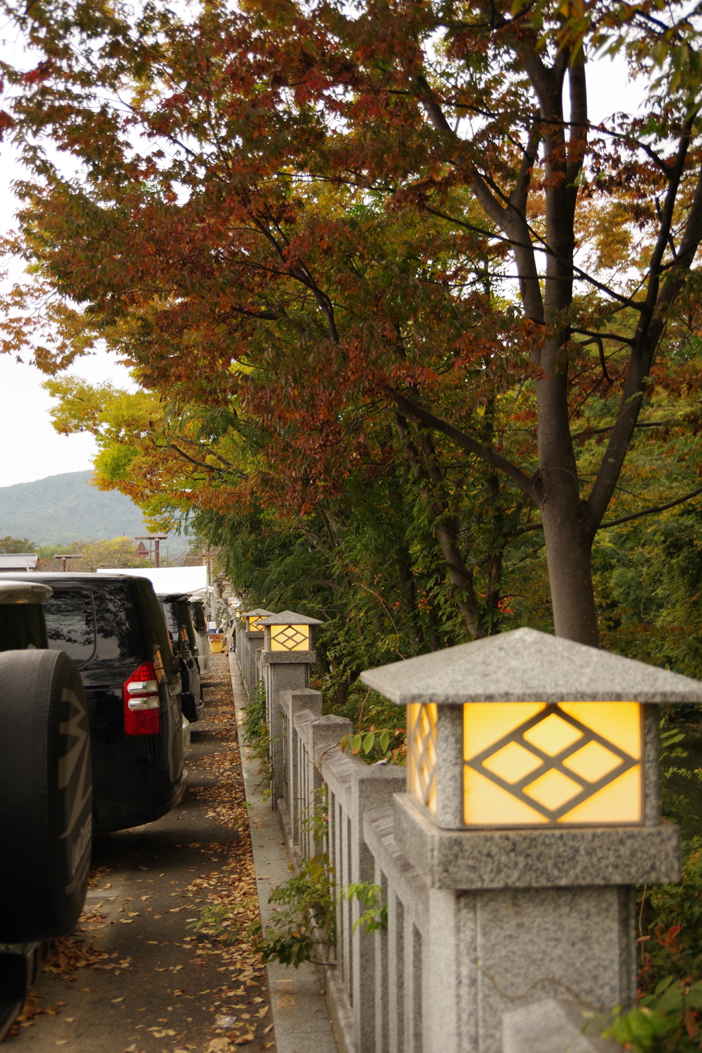 秋の駐車場