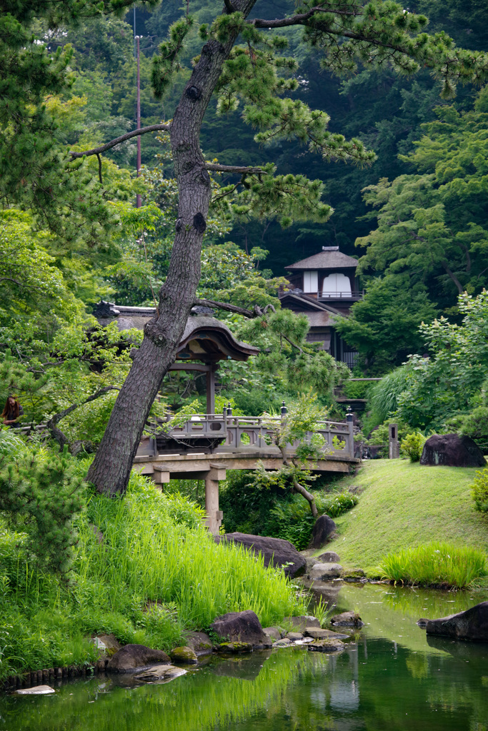 三渓園にて 1