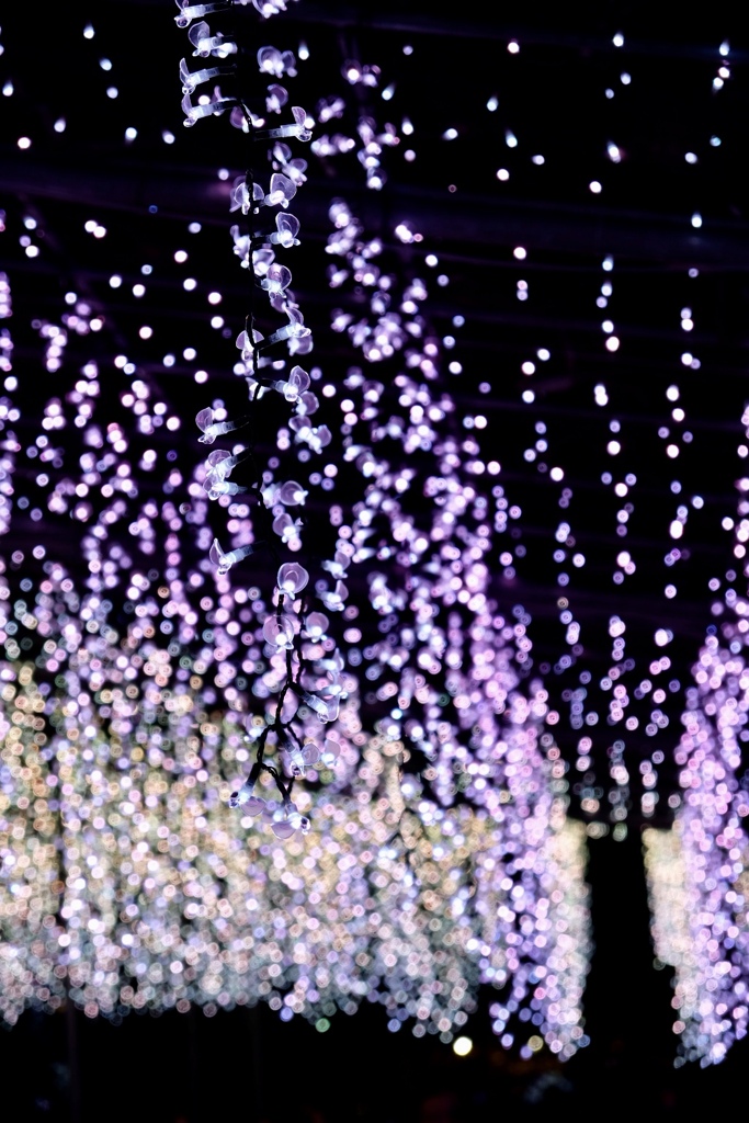 8D839BDF-A0B8-4F57-B0F4-8E93FA868970