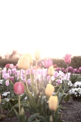 8E38CAF8-A8A0-4671-B4B9-9B1338501DED