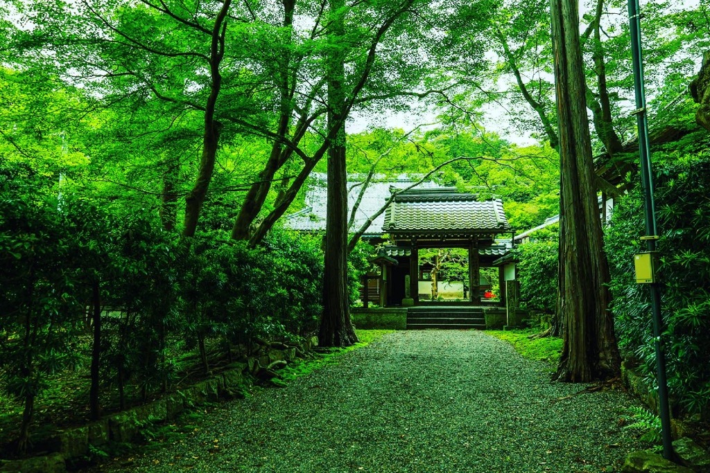 青岸寺