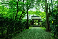 青岸寺