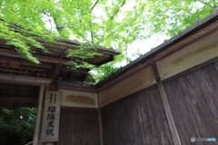 瑠璃光院