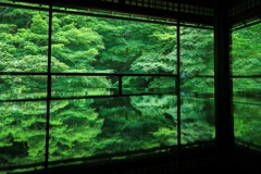 瑠璃光院