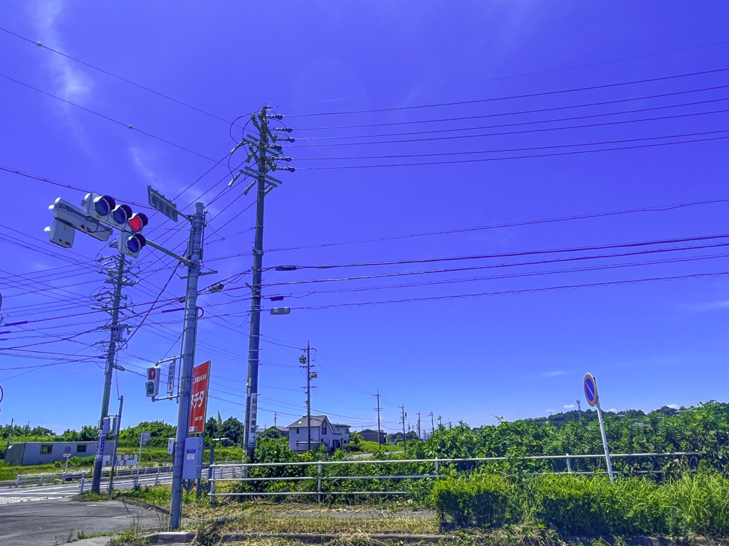 夏の空
