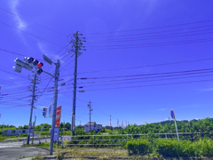 夏の空