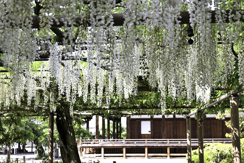 曼陀羅寺