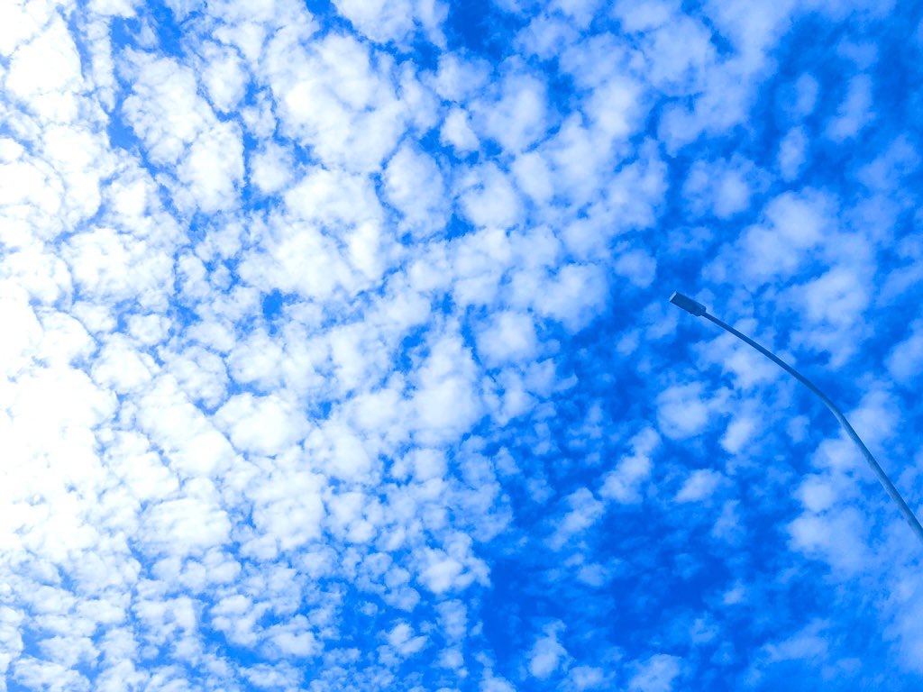 夏の空
