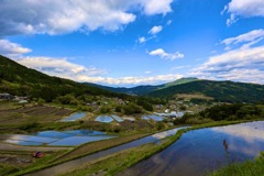 坂折棚田