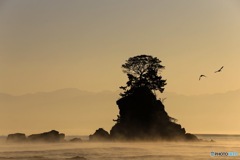 雨晴海岸