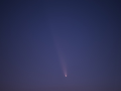 紫金山・アトラス彗星