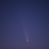 紫金山・アトラス彗星