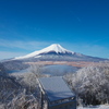 石割山の山頂から