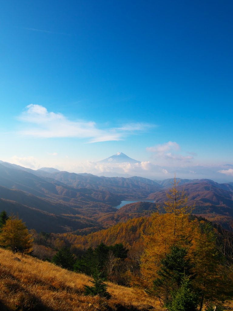 大菩薩嶺から富士山と紅葉