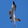 エアフェスタ浜松2022　F-2A機動飛行”予行”